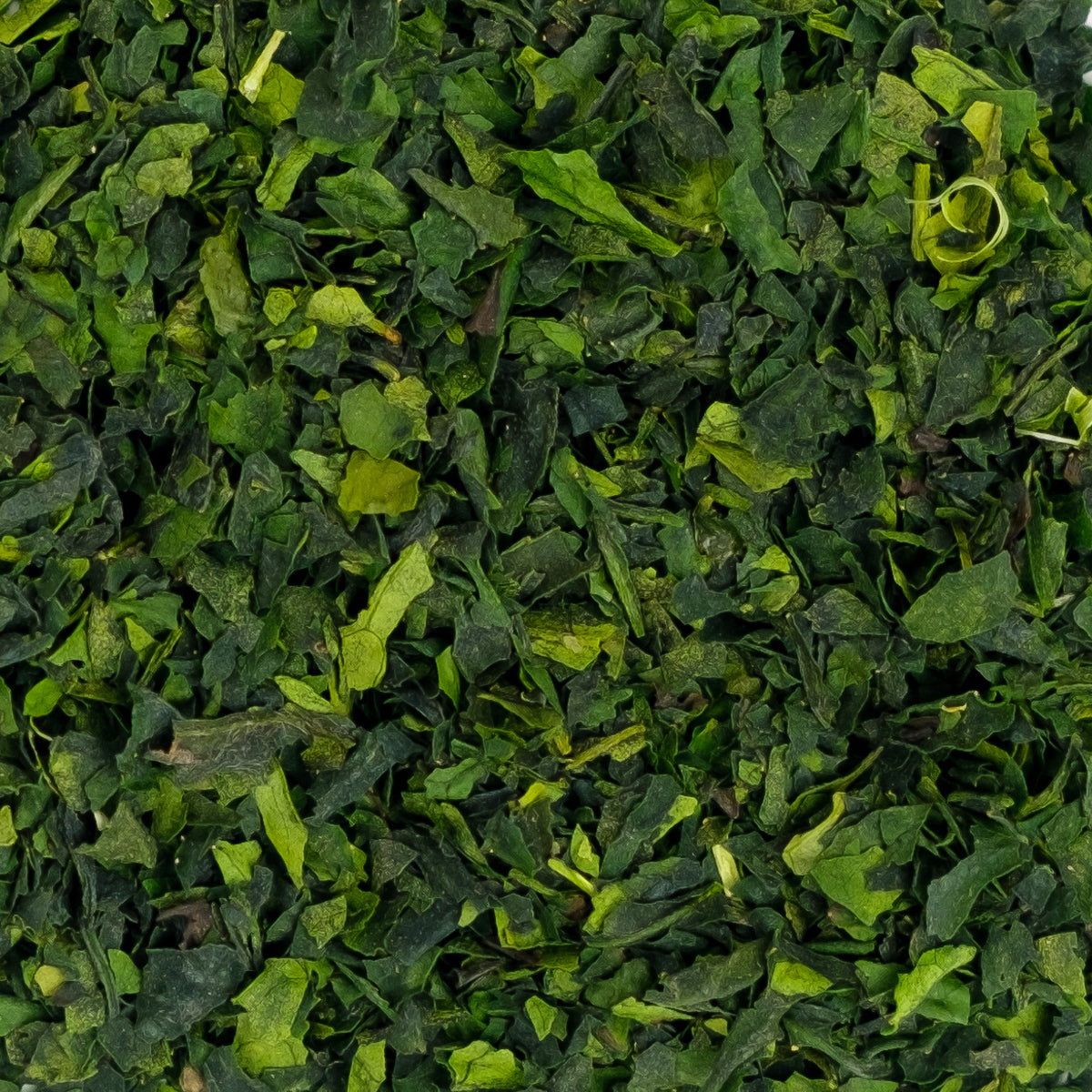 Farm-direct Tencha Tea for Sale