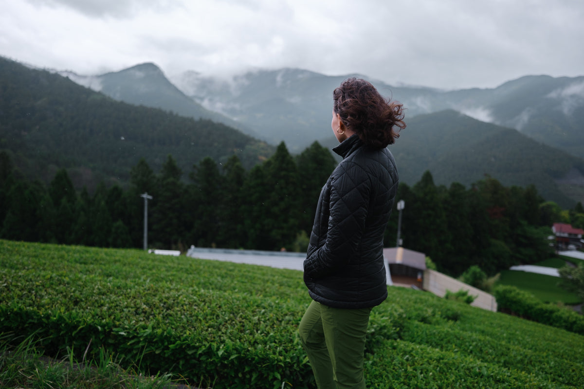 Japanese Ceremonial Matcha from Honyama: The Mountain Origins of Mizuba’s Yama and Kumo Teas