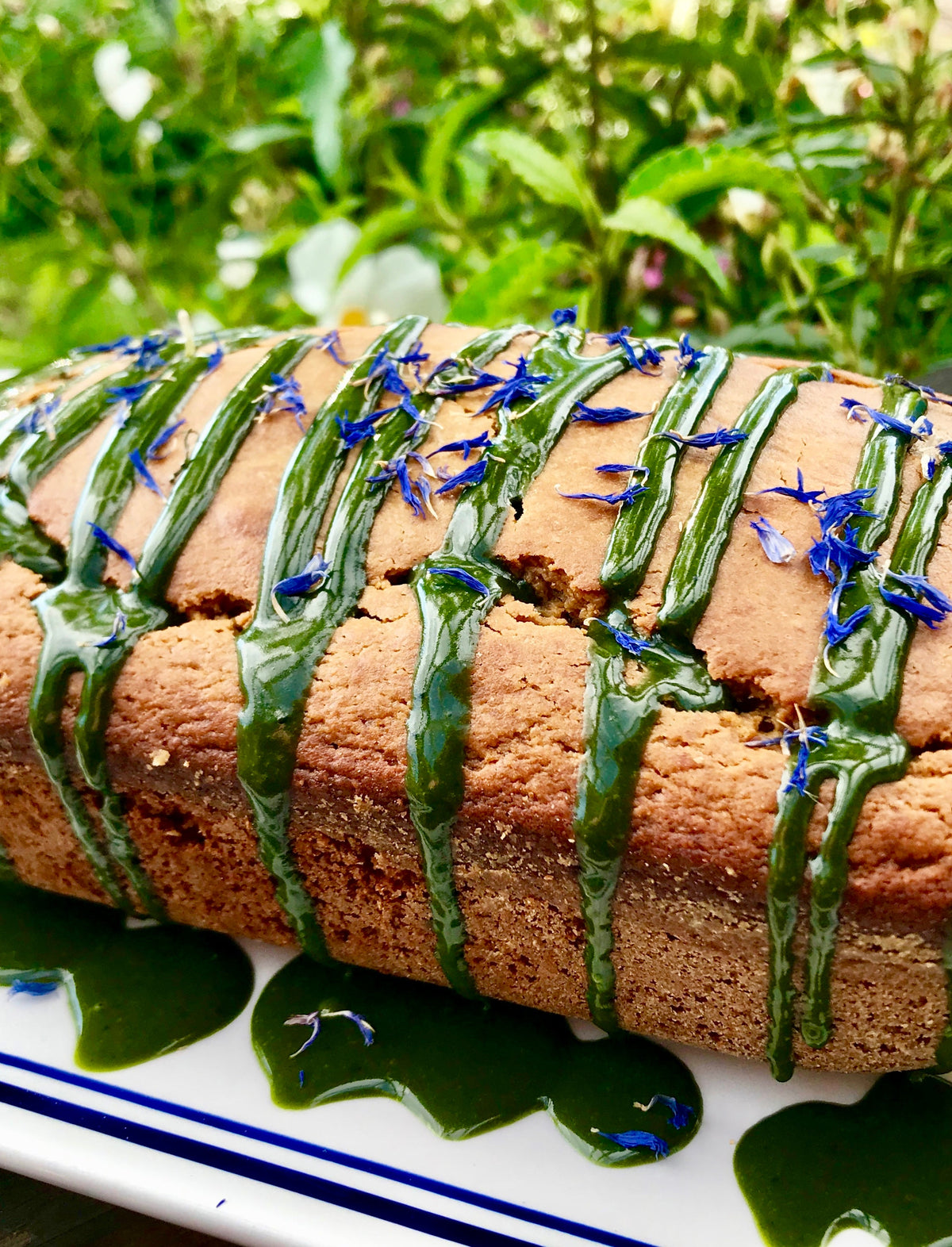 Matcha Green Tea Cake. Citrus Olive Oil Yogurt Cake Recipe