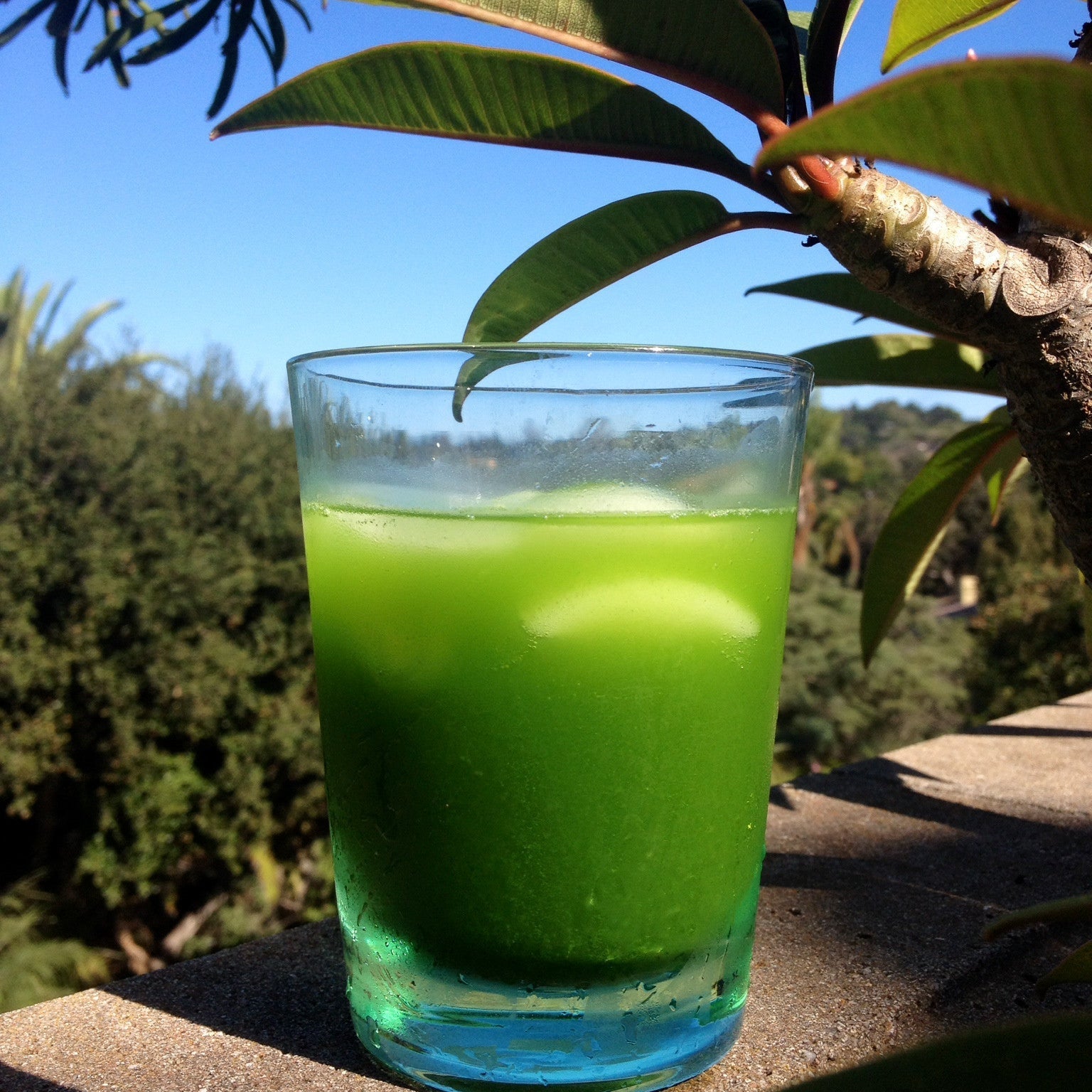 Iced Matcha Recipe