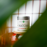 Tsuyuhikari matcha from Mizuba Tea on a stone plate