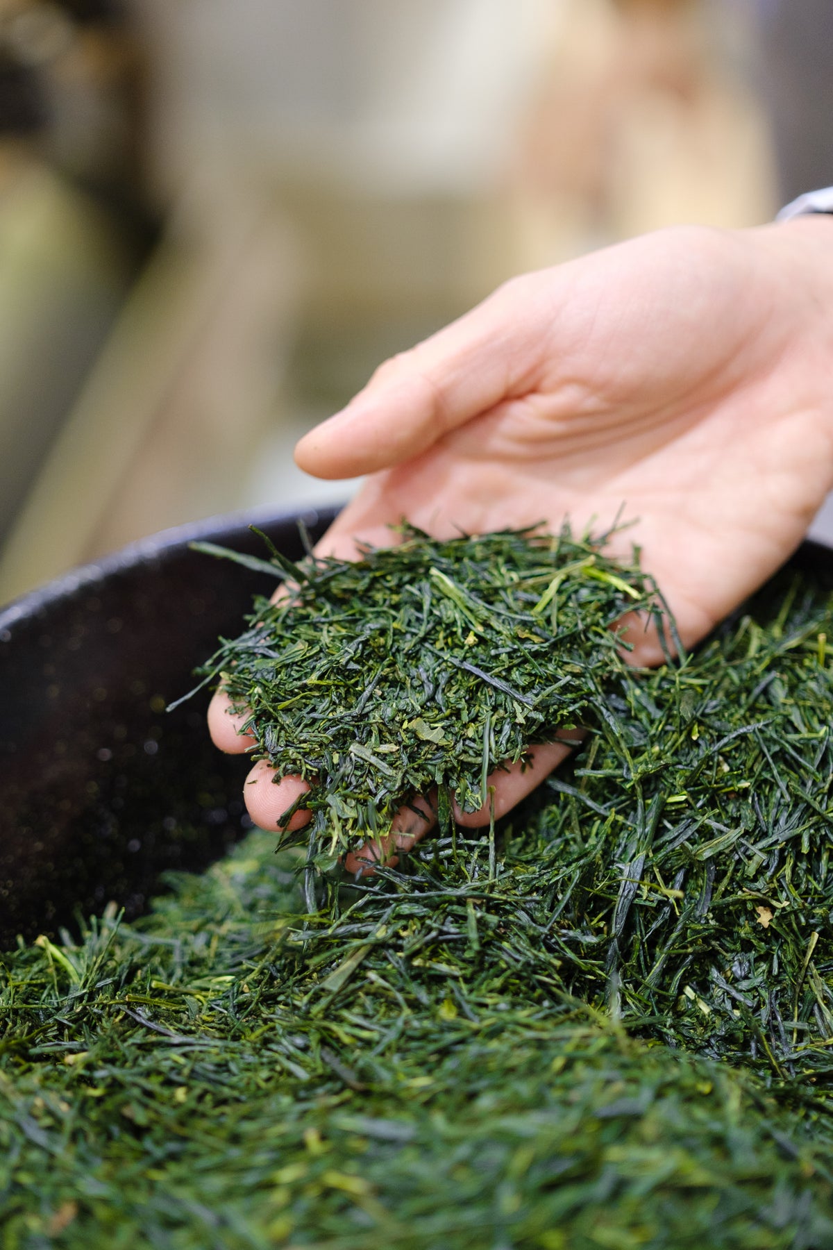 Fresh Japanese Sencha Green Tea